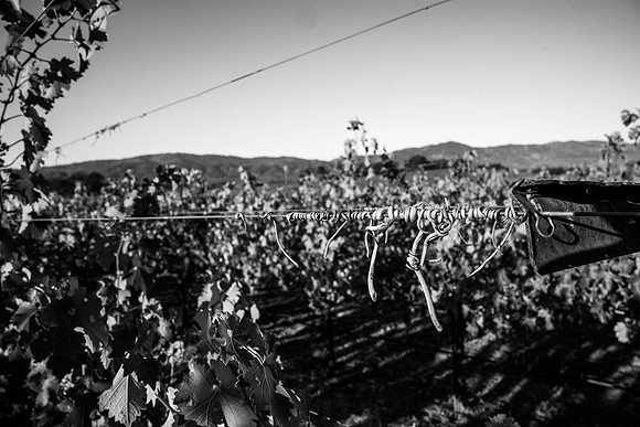 _DSC3037
