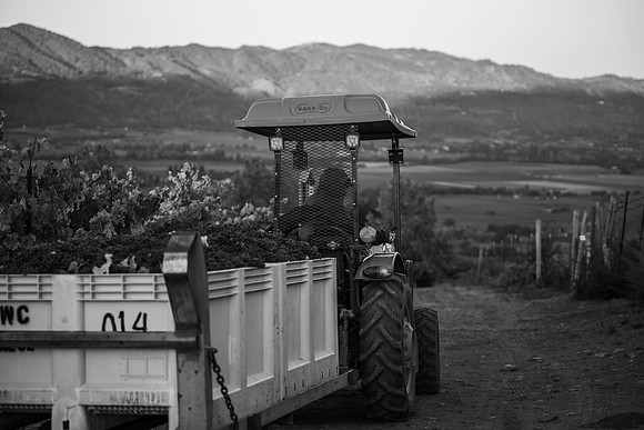 _DSC3131-2-2