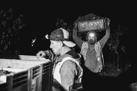 _DSC5969-2