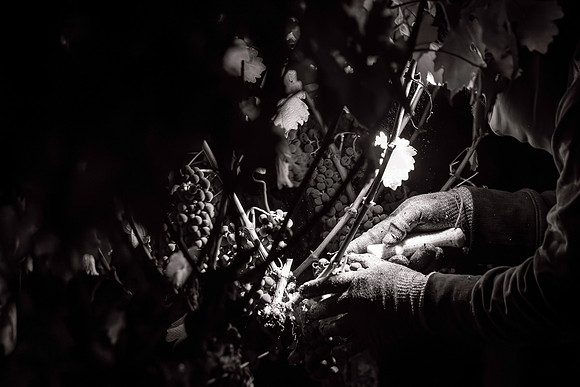 _DSC5632-2