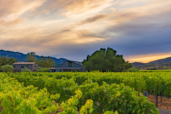 _DSC3473-HDR