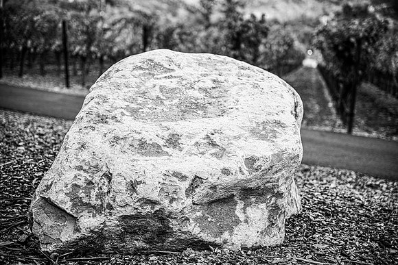 _DSC3310
