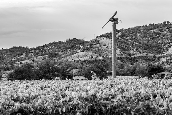 _DSC3325