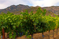 _DSC3135-HDR