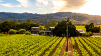 DJI_20251013081634_0695_D