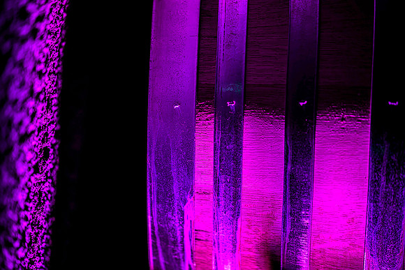 _DSC7629