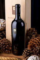 Alpha Omega  Holiday Shoot 20232109-Edit