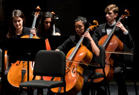 Rehearsals and Groups