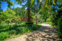 _DSC0932-HDR