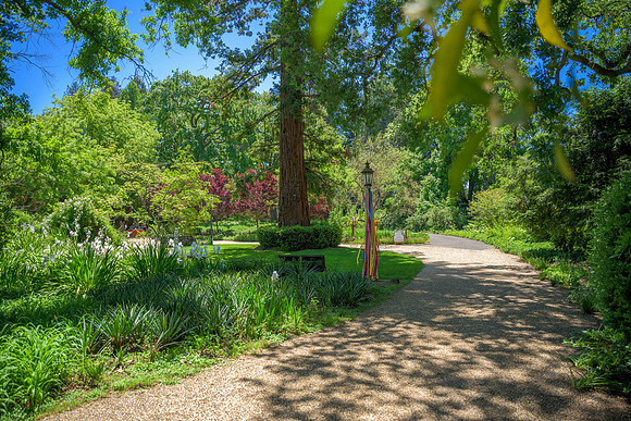 _DSC0932-HDR