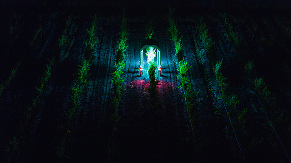DJI_20260515123643_0396_D