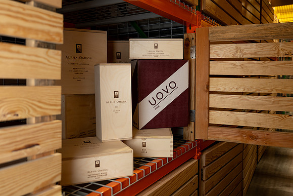 _DSC2523
