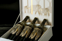 Menagerie-4124.jpg