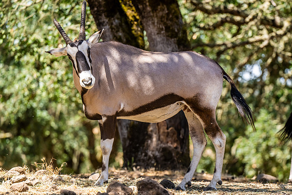 _DSC8321