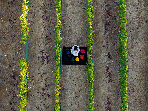 DJI_20231011174618_0001_D