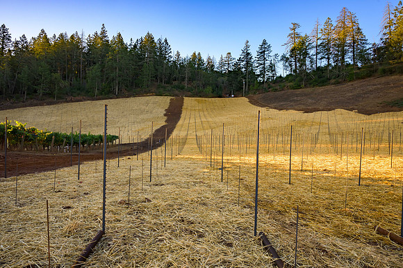 _DSC3410-HDR