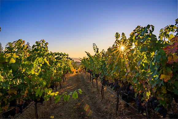 _DSC3420-HDR