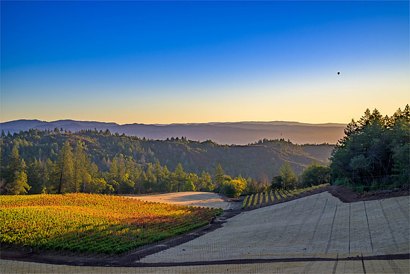 _DSC3395-HDR