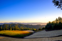 _DSC3390-HDR