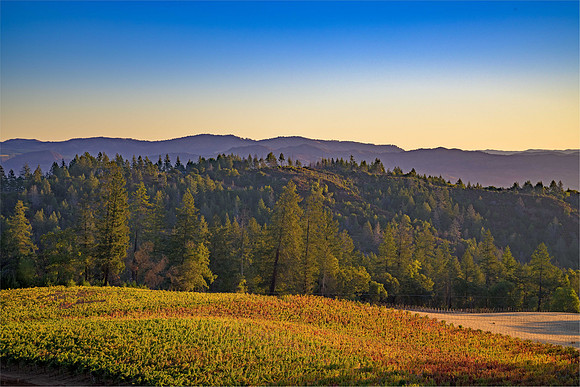 _DSC3405-HDR