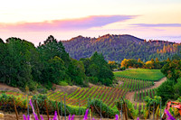 _DSC1781-HDR