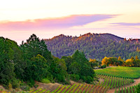 _DSC1781-HDR-2