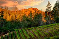 _DSC1801-Edit