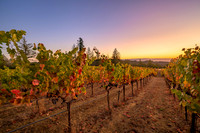 _DSC1701-HDR