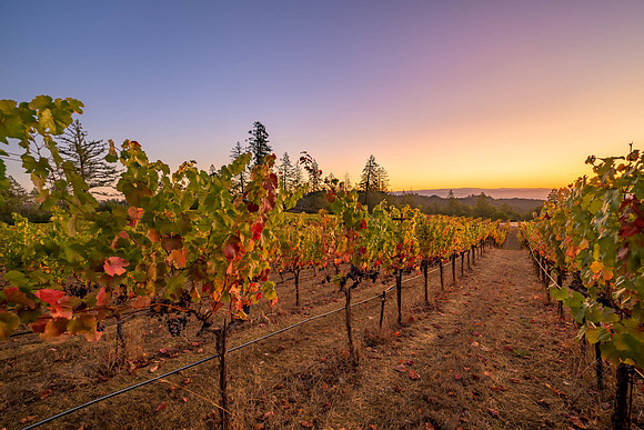 _DSC1701-HDR
