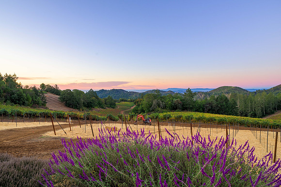 _DSC1731-HDR