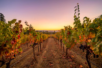_DSC1706-HDR