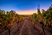 _DSC1688-HDR