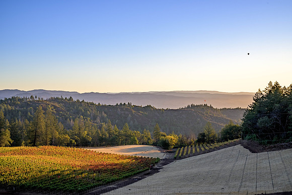 _DSC3395-HDR