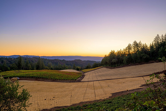 _DSC1721-HDR-Edit