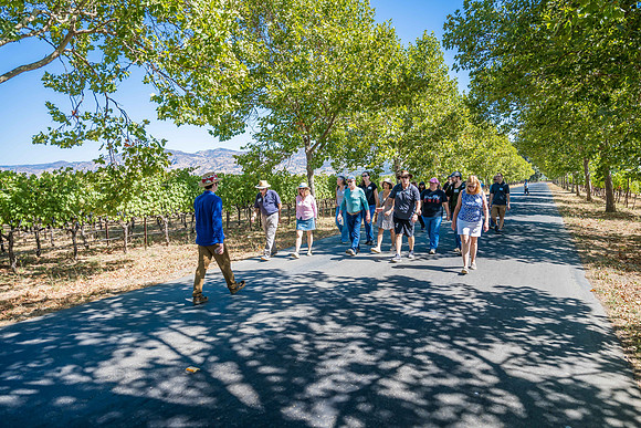 _DSC0618-2