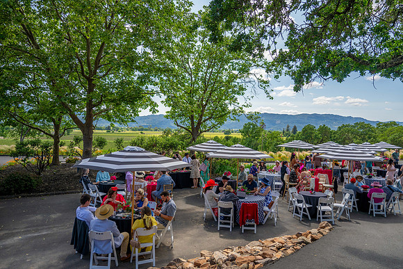 _DSC1553