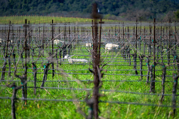 _DSC3615