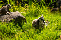 _DSC8022