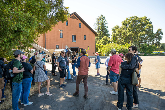 _DSC0725-2