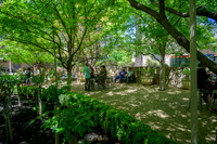 _DSC6097