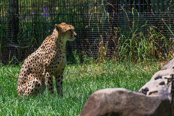 _DSC8493