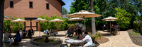 _DSC2589-Pano