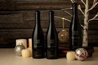 Tolosa Holiday Shoot-3004-Edit