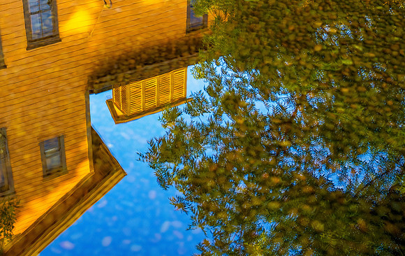 _DSC9358And8more